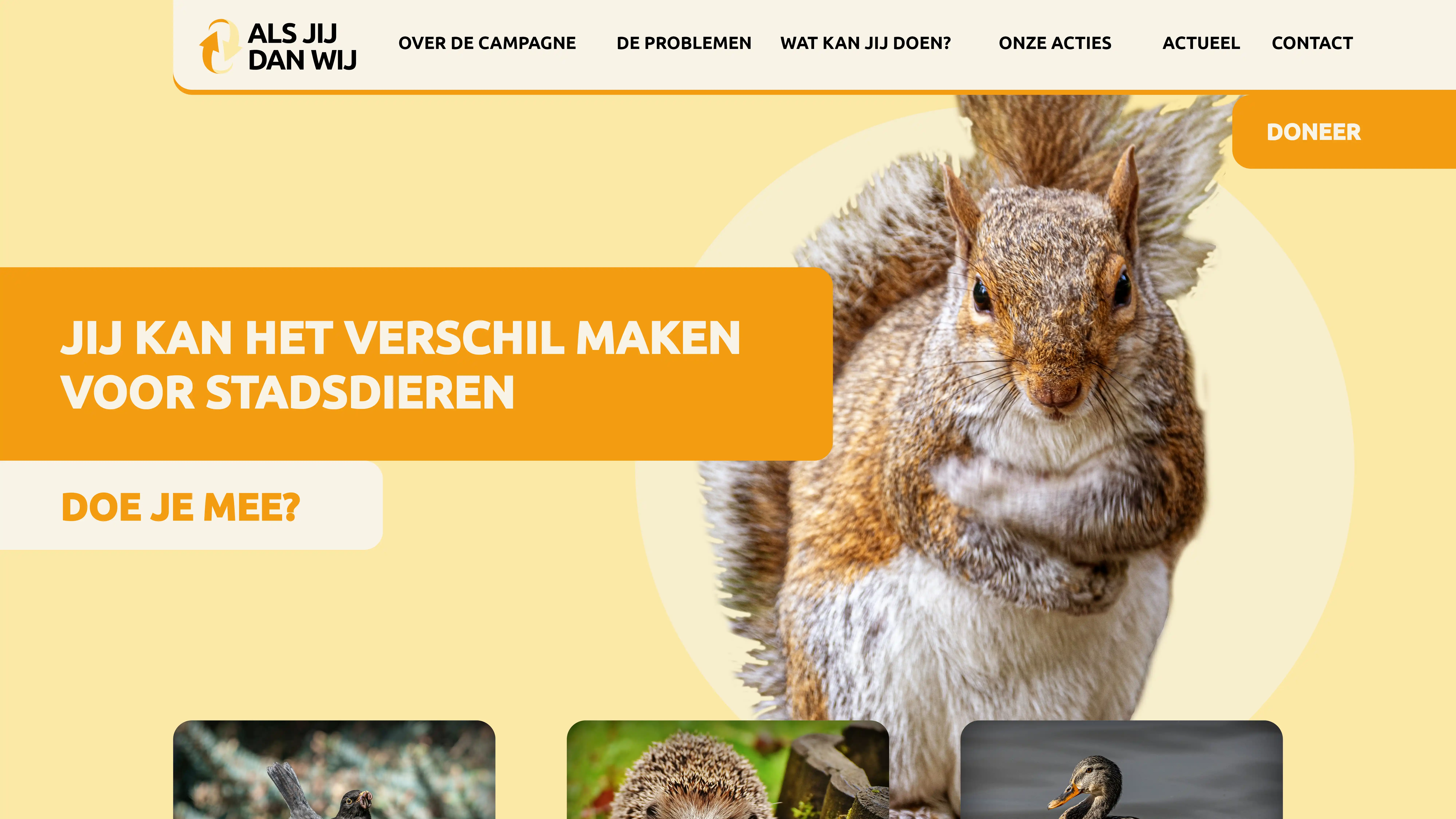 Website ontwerp
